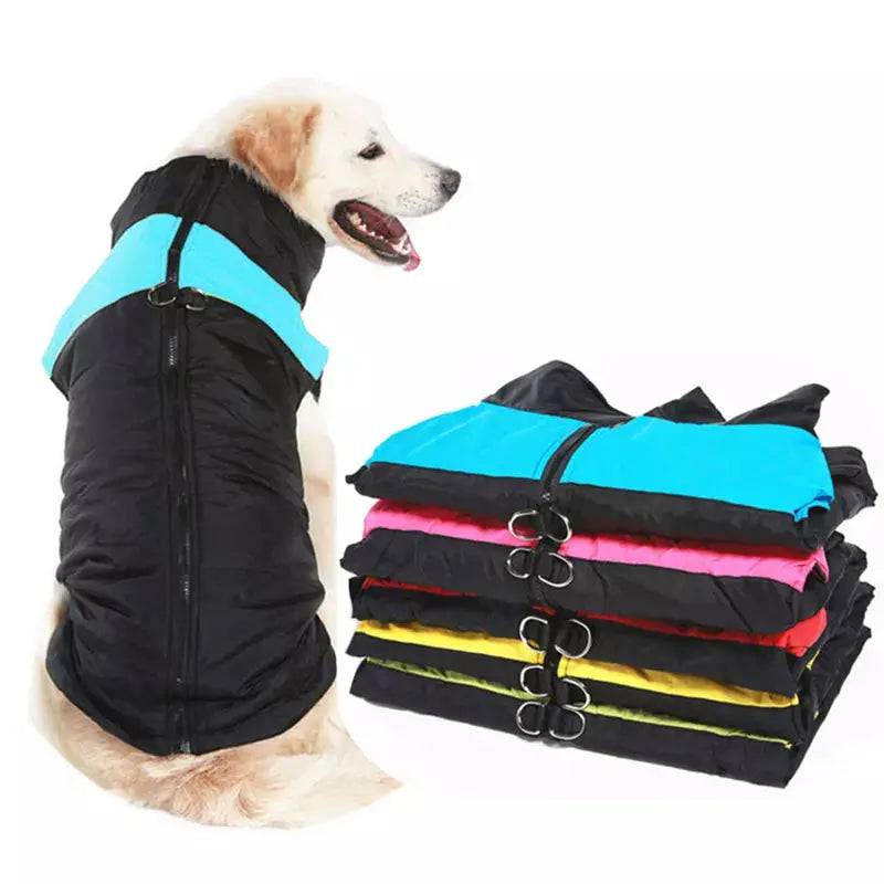 Winterjacke für Hunde