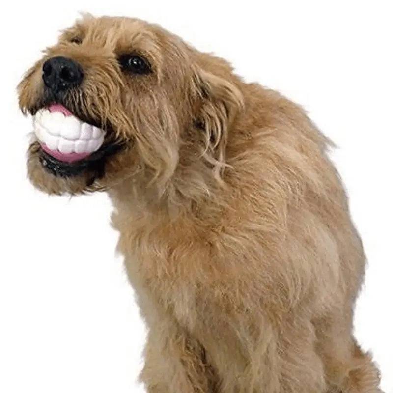 Pet Teeth Silicon Chew Ball Toy for Large Breeds