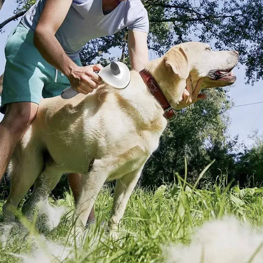 Yoors Shop Self Cleaning Pet Hair Remover Brush